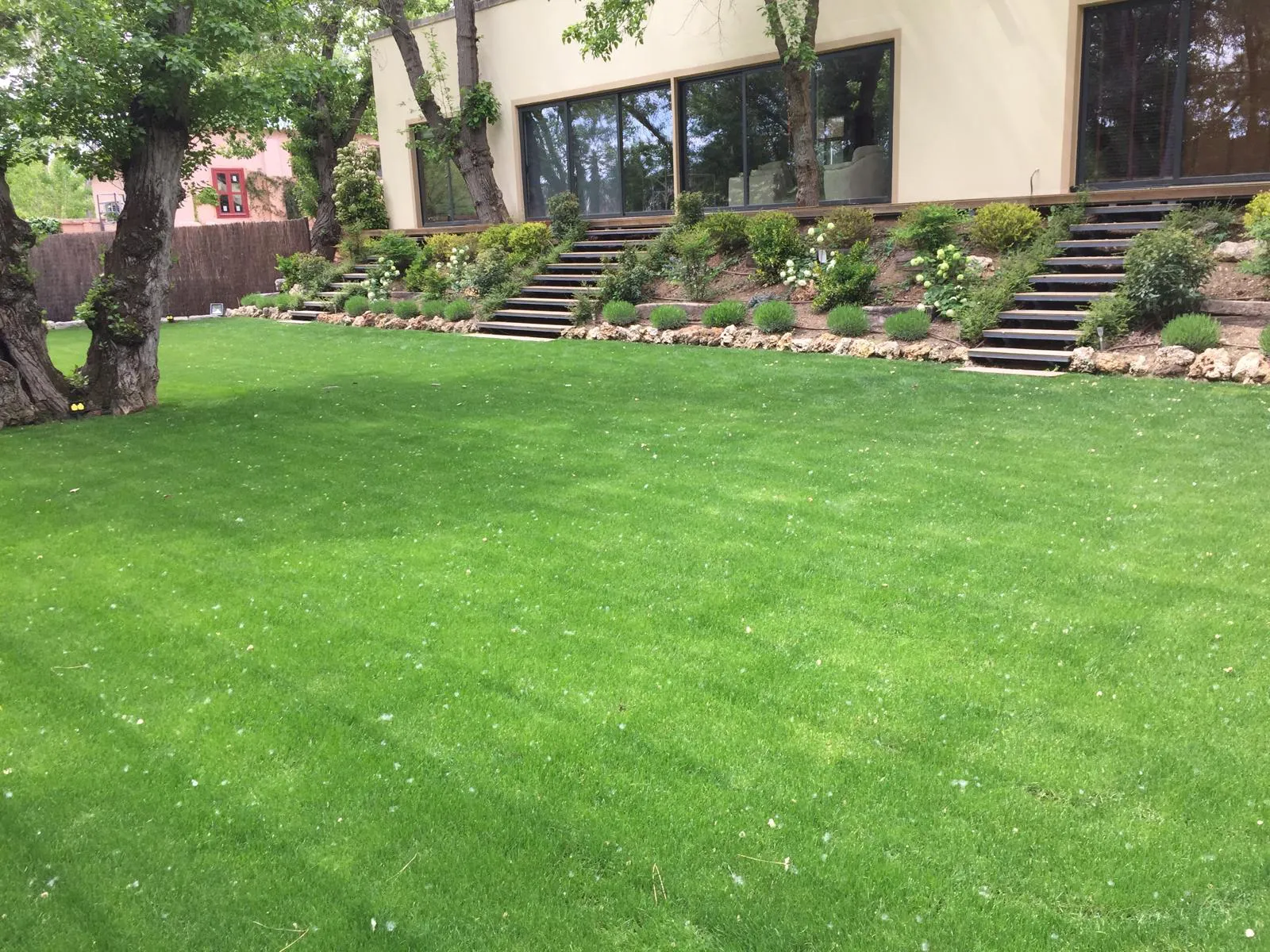 Diseño y creación de jardines